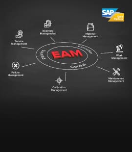 Replacing Legacy EAM Applications with SAP