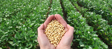 a-major-agricultural-and-specialty-resources-thumb.jpg