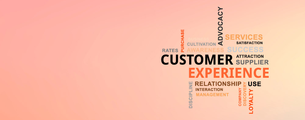 Customer Experience: An Integrated and Orchestrated Ecosystem