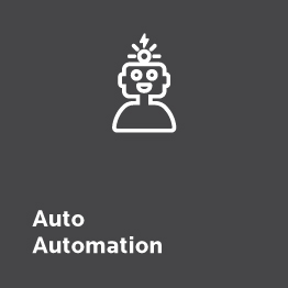 Auto Automation