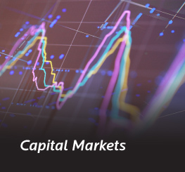 Capital Markets