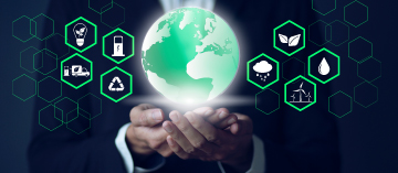 Envisioning Sustainable Digital Transformation