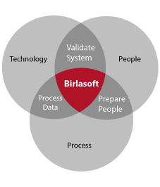 Speed to Value with Rapid SAP Implementation