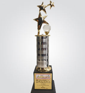Glimpses of the award(s) conferred to Birlasoft during the virtual ceremony on 26 December, 2020.