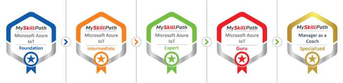 MySkillPath Badges