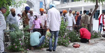 Plantation Drive - Awareness Drive in villages of Punjab