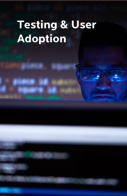 Testing & User Adoption