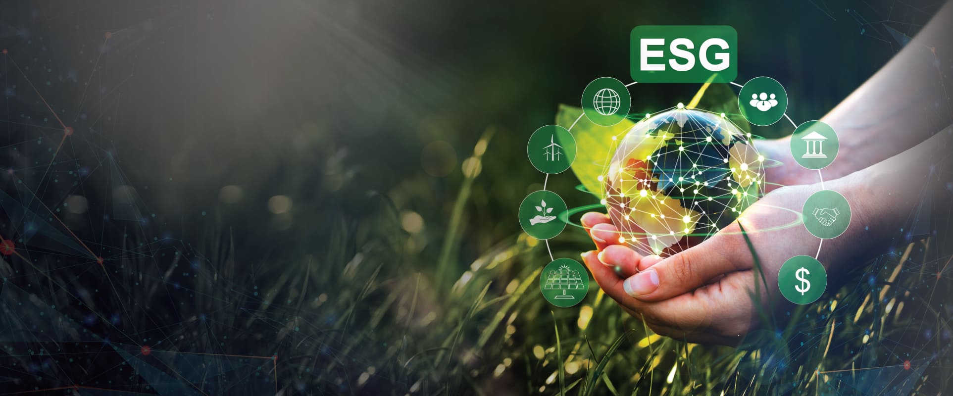 Transforming ESG Strategies with Comprehensive Solutions