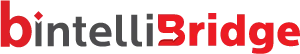 IntelliBridge Solutions logo