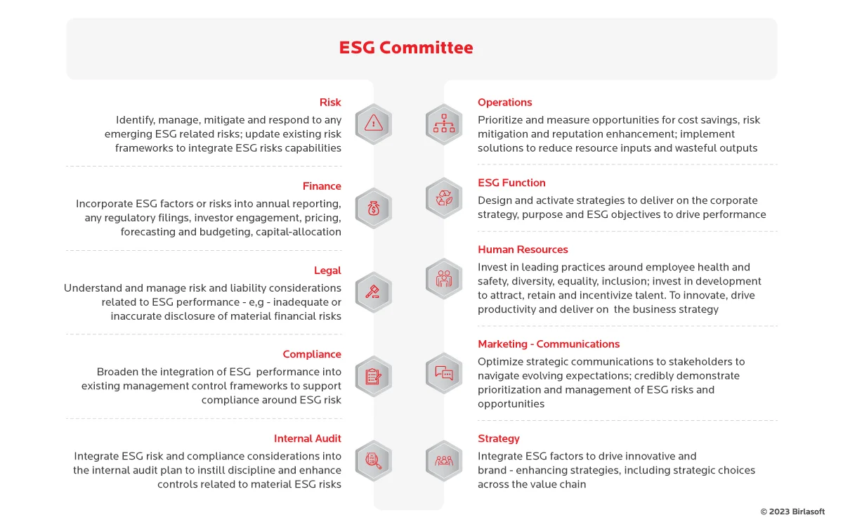 Governance of The ESG Function