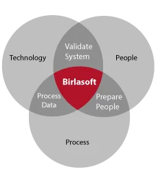 Speed to Value with Rapid SAP Implementation