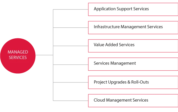 Drive Business Transformation With Birlasoft Application Management Services (AMS)