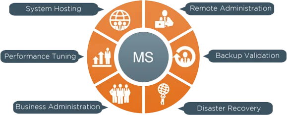 PLM Data Migration Services