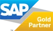 SAP Partner Logo