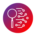 Automated Data Discovery