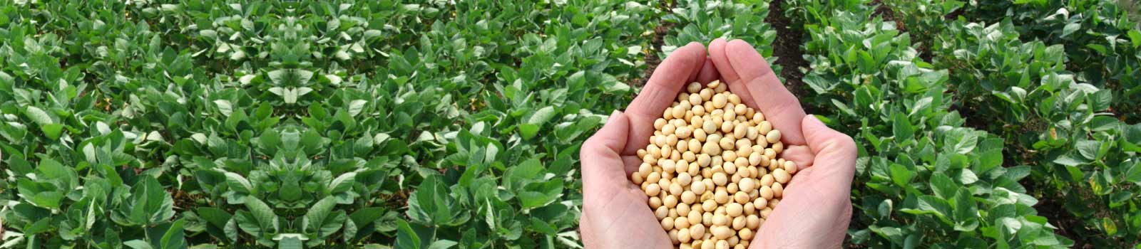 a-major-agricultural-and-specialty-formulators-banner.jpg