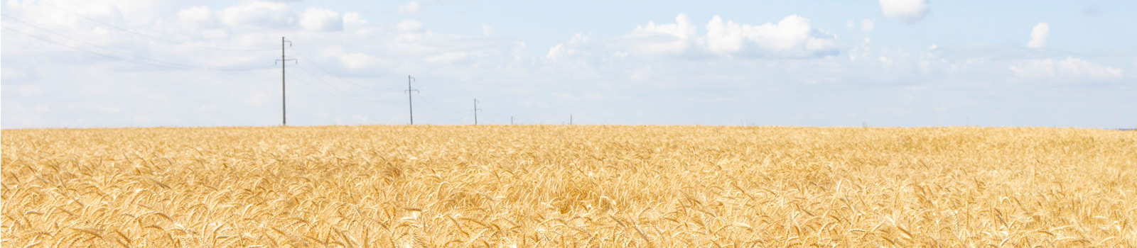 agronegocio-1600x350.jpg