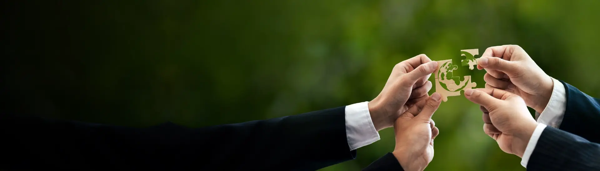 Birlasoft achieves SBTi Approval for its Net Zero Commitment