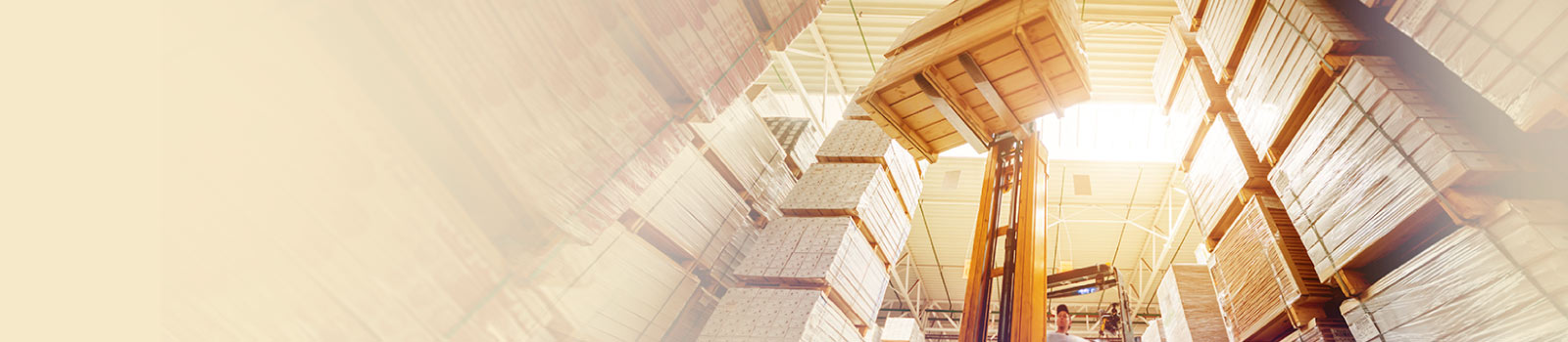 transforming-distribution-ecosystem-infor-m3-banner.jpg