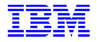 IBM logo