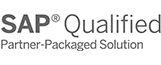 SAP Qualified Partner-Packaged Solutions logo