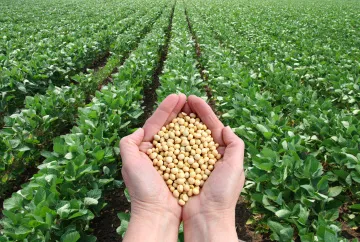 a-major-agricultural-and-specialty-formulators-thumbnail.jpg